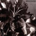 breathless-between-happiness-re.jpg
