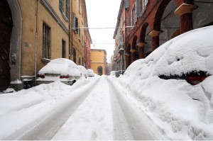 BOLOGNA NEVE BOLOGNA NEVE